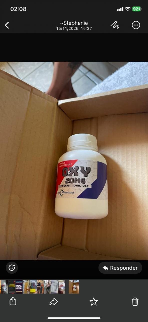 Imagem do WhatsApp de 2025-11-19 à(s) 02.13.49_d2d652b3