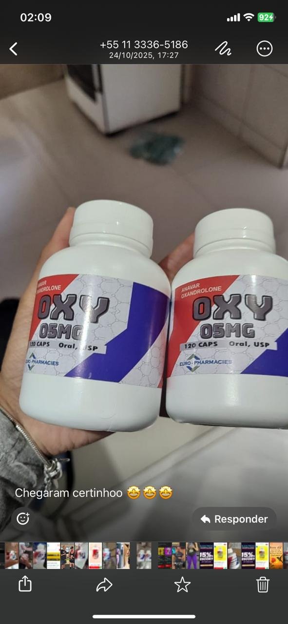 Imagem do WhatsApp de 2025-11-19 à(s) 02.13.49_dcf3bf20
