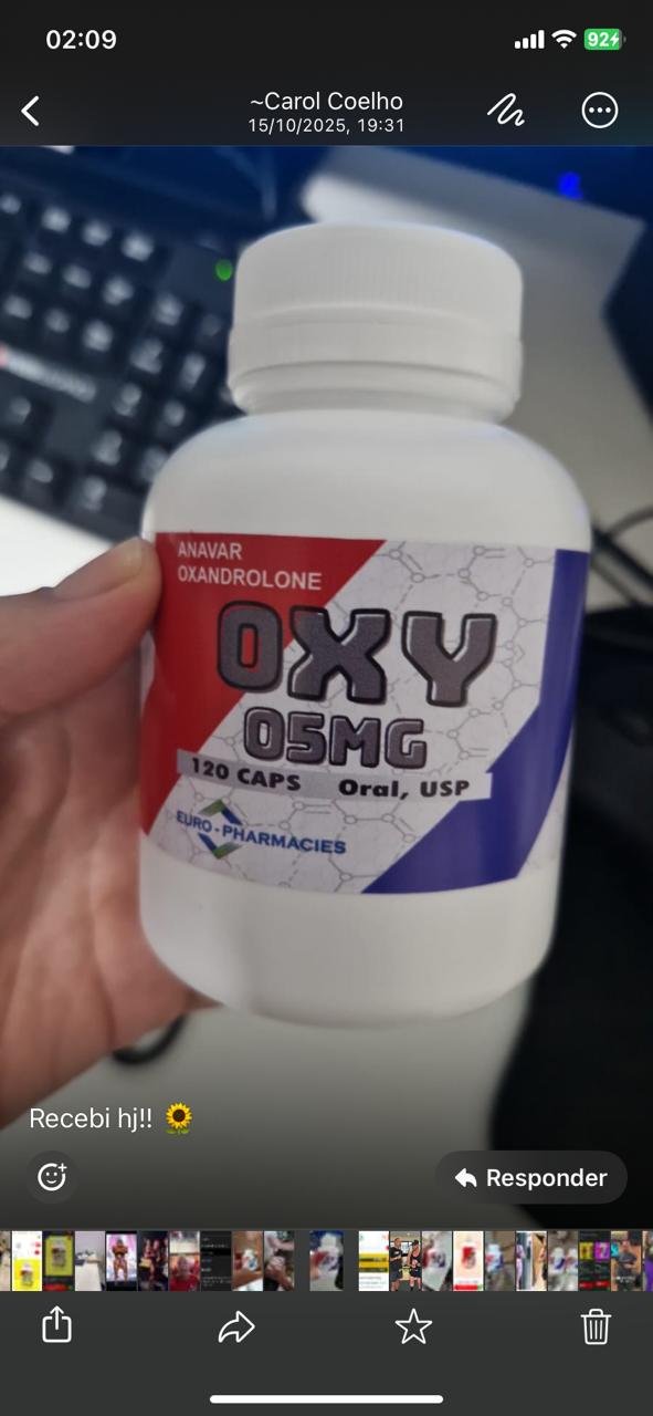 Imagem do WhatsApp de 2025-11-19 à(s) 02.13.50_08c0a0ca