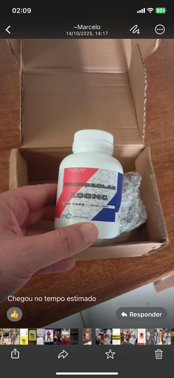 Imagem do WhatsApp de 2025-11-19 à(s) 02.13.50_944f8bda