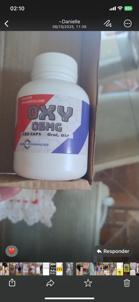 Imagem do WhatsApp de 2025-11-19 à(s) 02.13.50_dd73516a