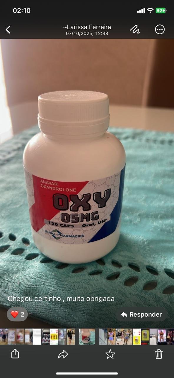 Imagem do WhatsApp de 2025-11-19 à(s) 02.13.50_e0d9705e