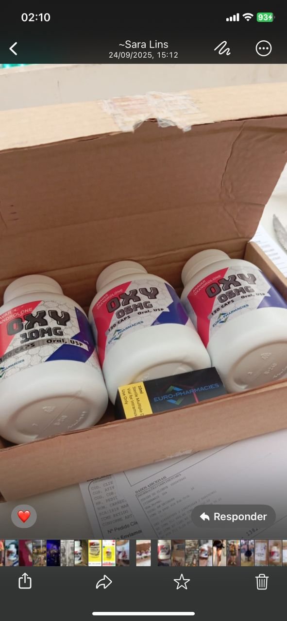 Imagem do WhatsApp de 2025-11-19 à(s) 02.13.51_4c35987a